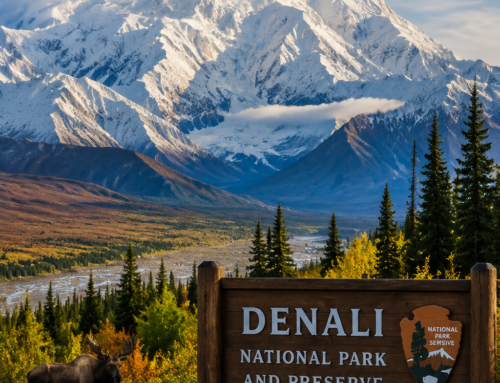 Denali National Park: The Ultimate Guide to Alaska’s Wild Heart