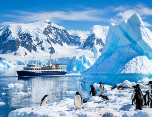 Antarctica’s Icebergs: Journeying to the World’s