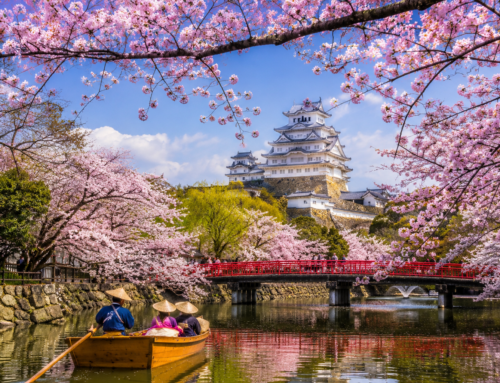 Japan’s Cherry Blossoms: The Best Spots to Witness