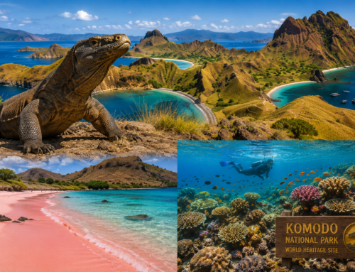 Indonesia’s Komodo Island: Dragons, Pink Beaches – North