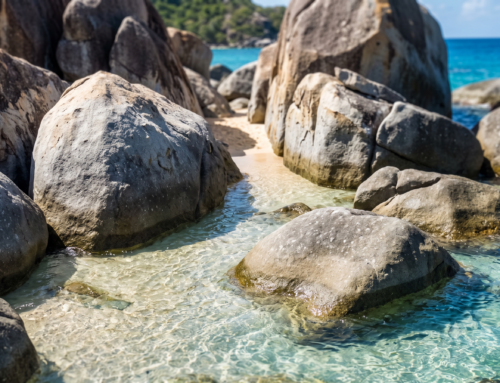 British virgin island