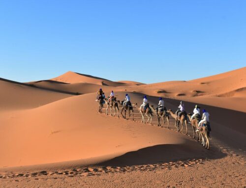 Morocco’s Sahara Desert: Camel Treks Beneath Starlit Desert Skies