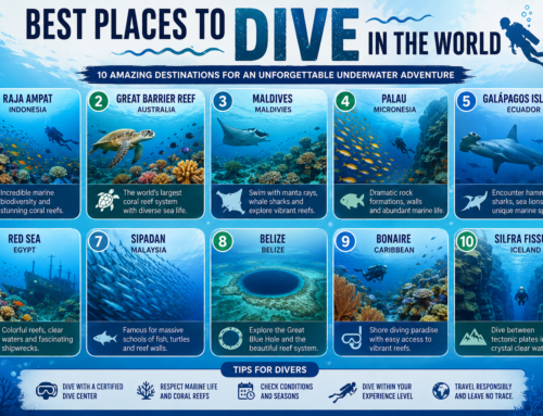 Best Places to Dive in the World: 10 Underwater Destinations