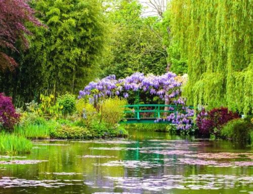 Best Gardens in the World: 10 Beautiful Gardens Worth Visiting