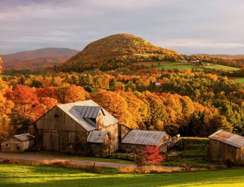 Best Places to Visit in Autumn: Beautiful Destinations for a Fall Getaway